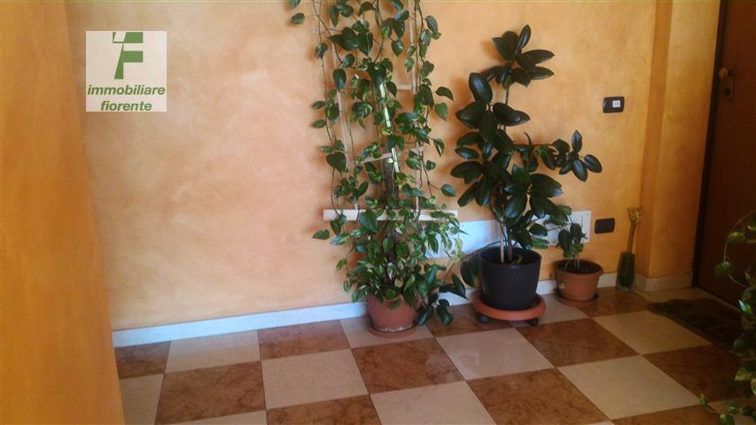 immagine annuncio 4 di 6