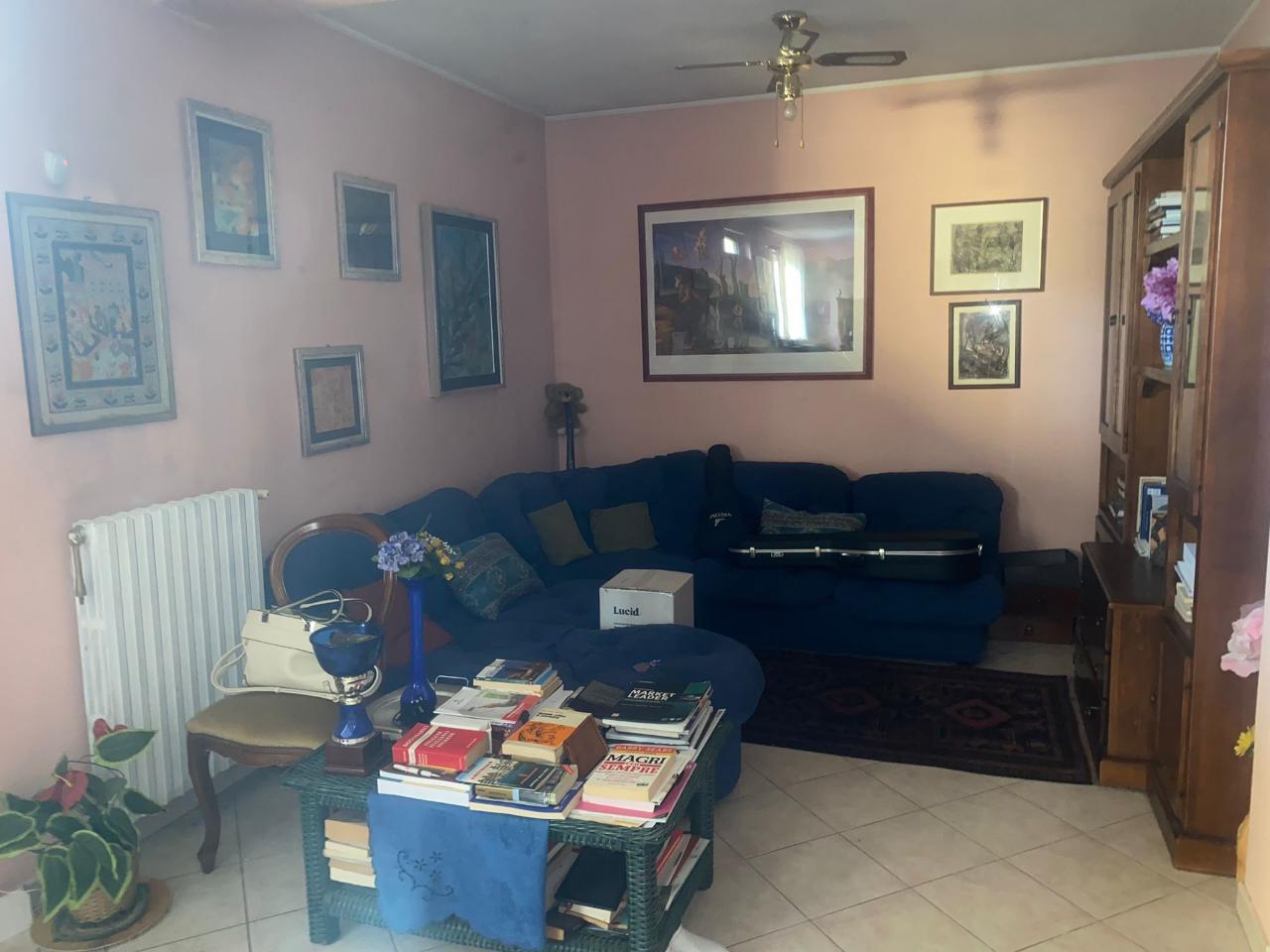 immagine annuncio 11 di 14