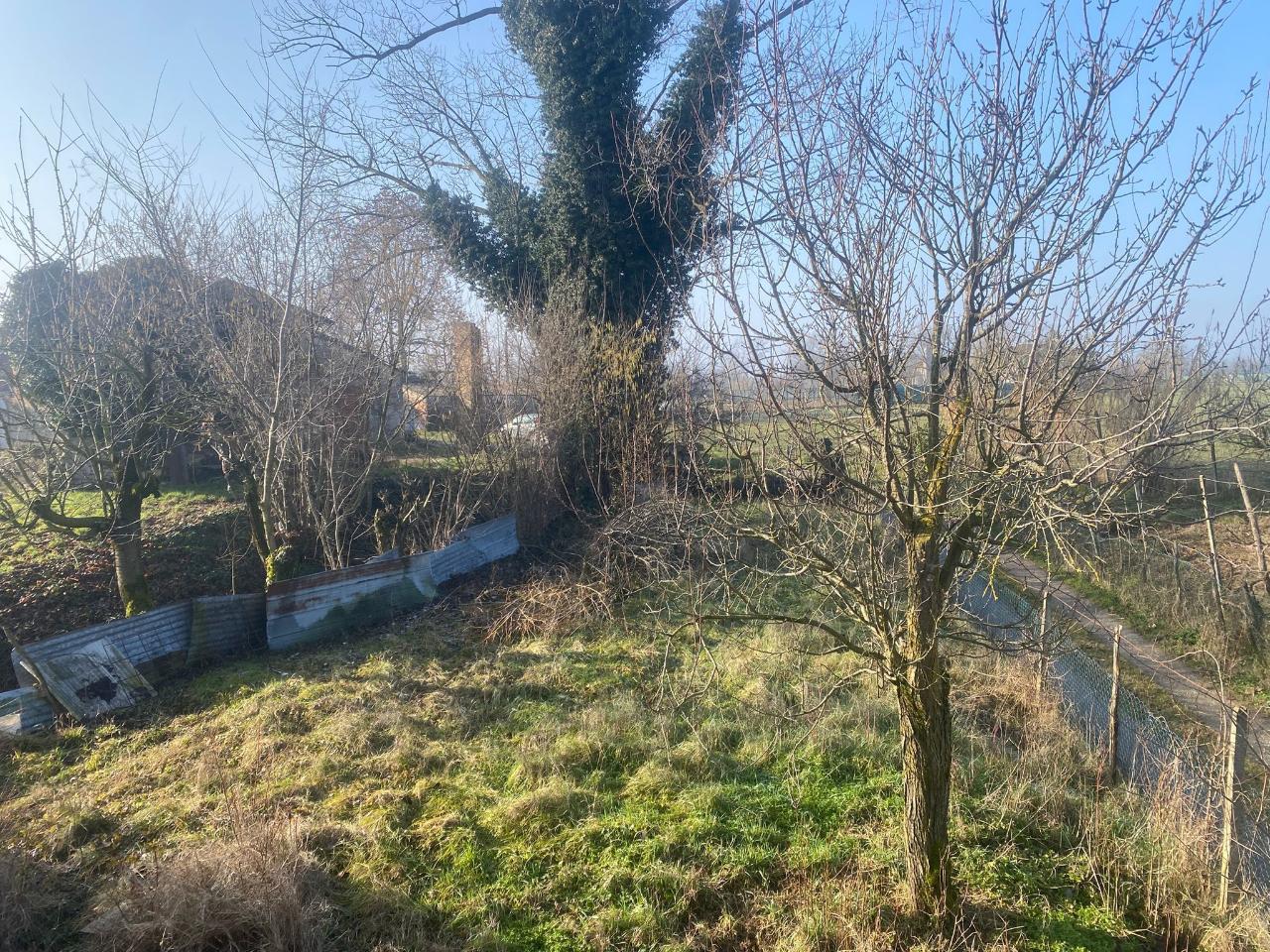immagine annuncio 7 di 12