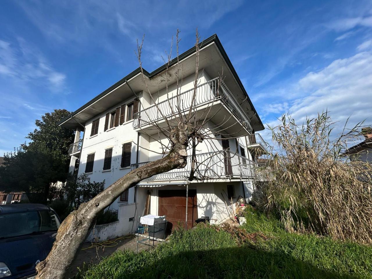 immagine annuncio 2 di 12