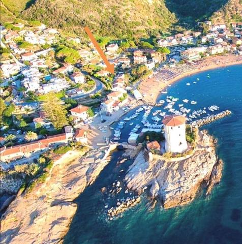 Quadrilocale, Isola del Giglio - Foto 1