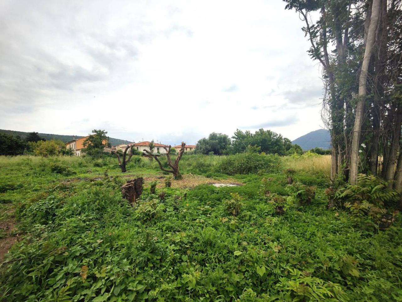 immagine annuncio 5 di 6