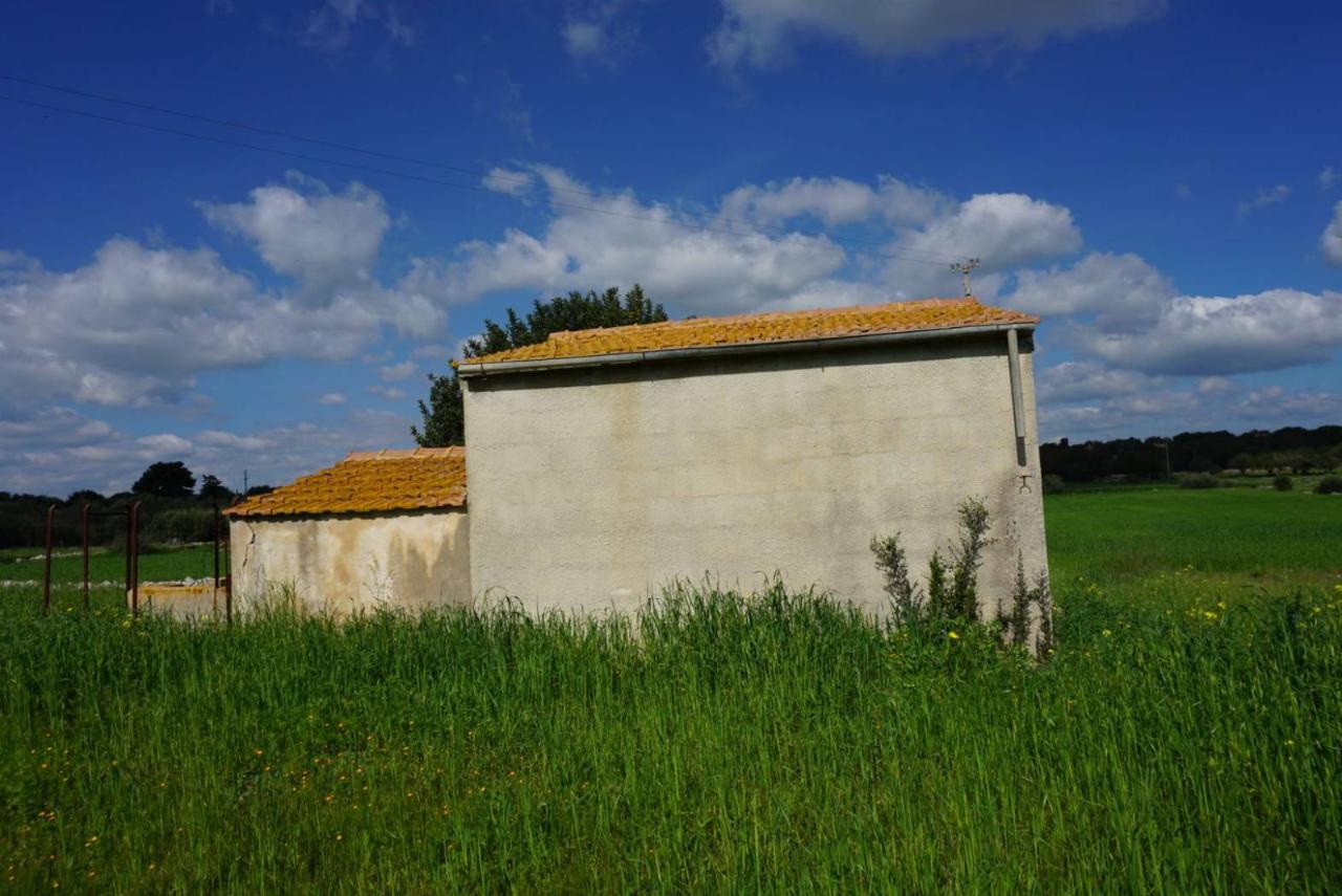 immagine annuncio 6 di 11