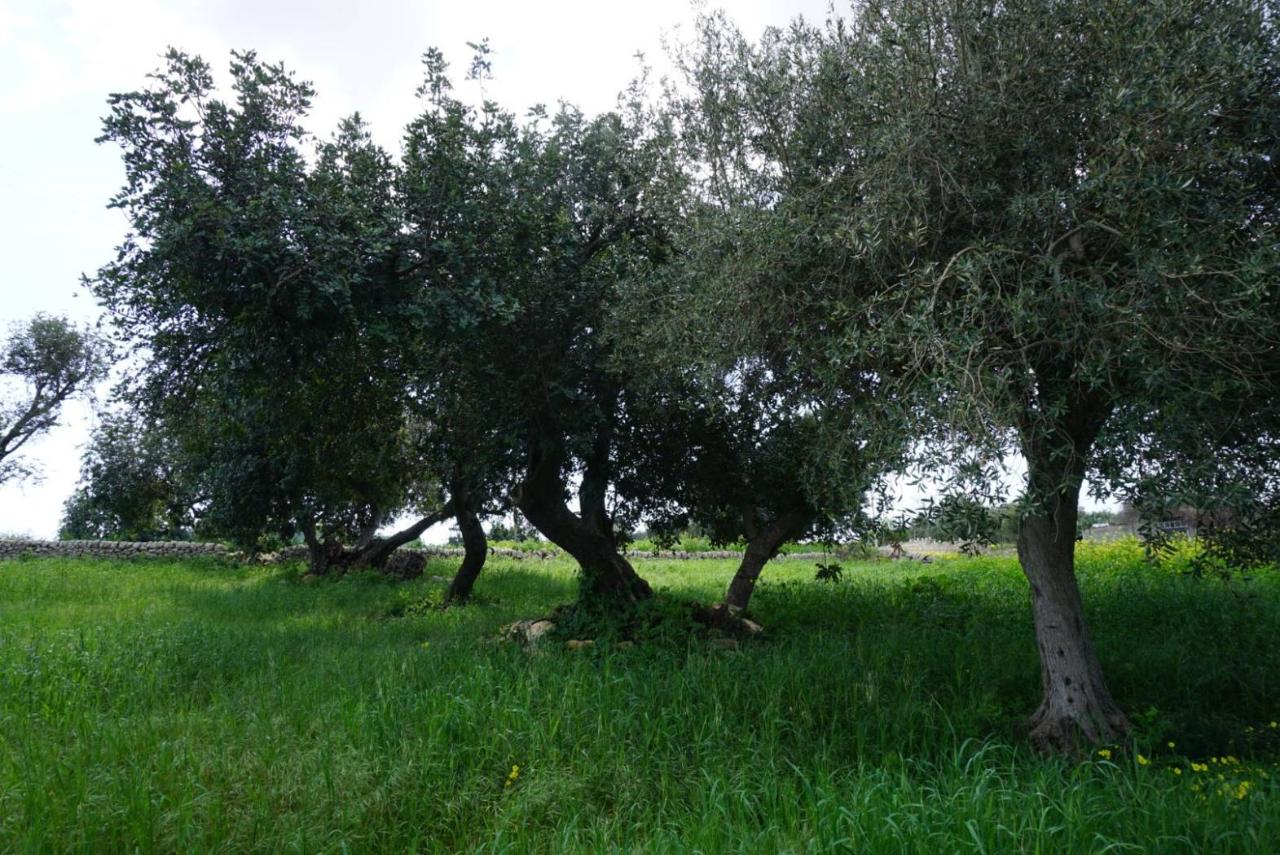 immagine annuncio 8 di 11