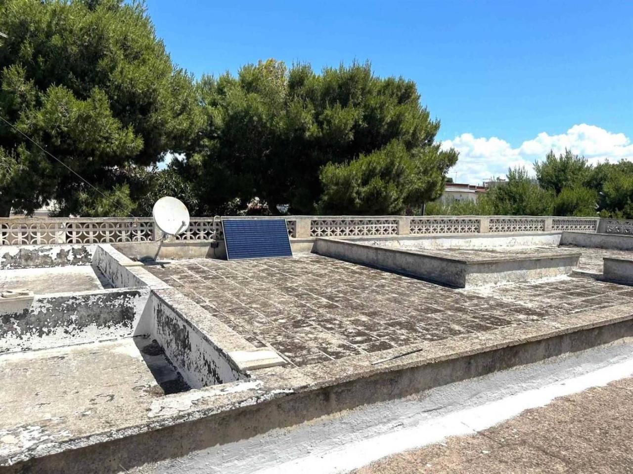 immagine annuncio 9 di 11
