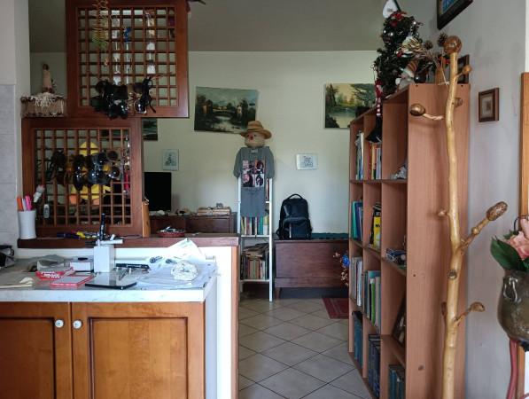 immagine annuncio 7 di 12