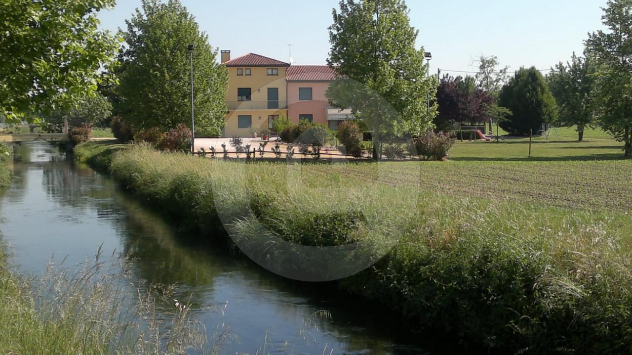 Azienda agricola in vendita a San Giorgio Delle Pertiche