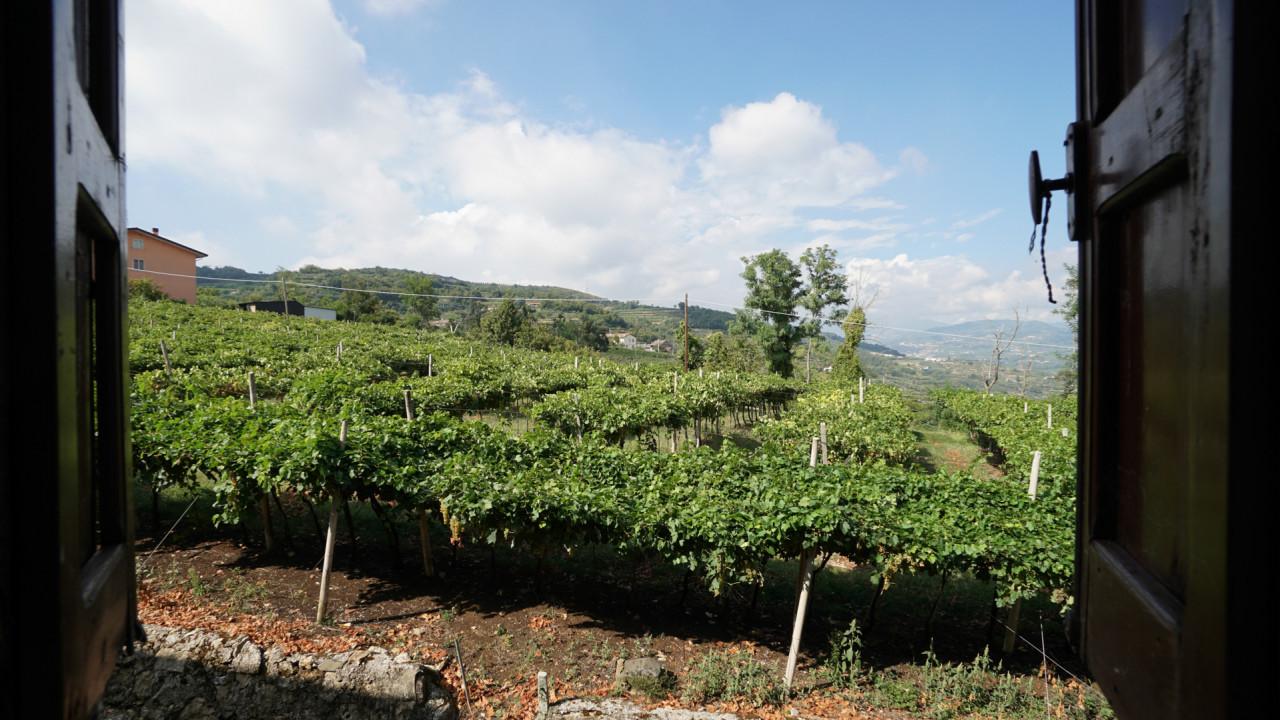 immagine annuncio 4 di 13