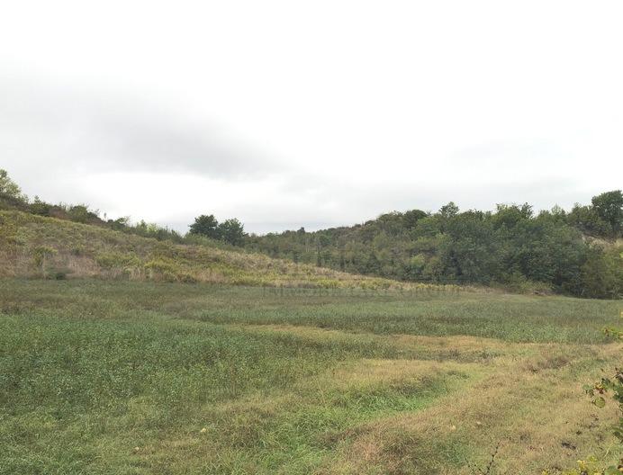 Terreno agricolo in vendita a Empoli