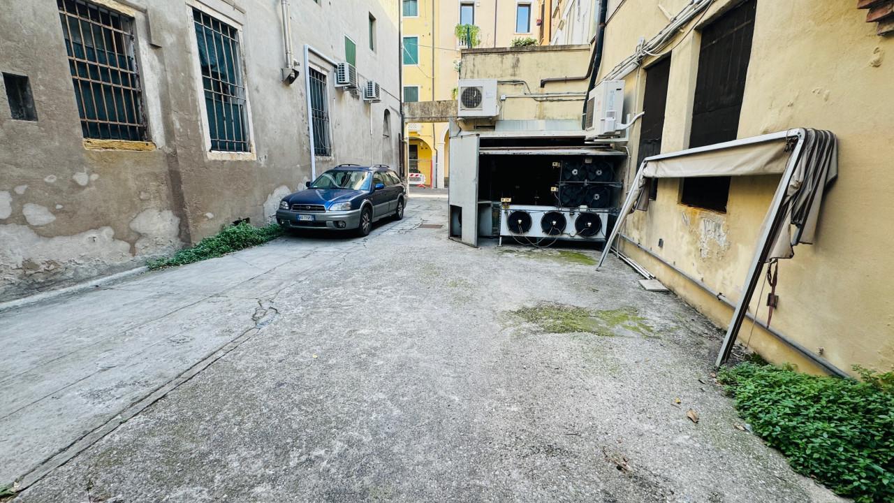 immagine annuncio 11 di 14