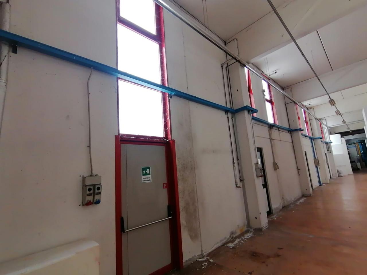 Capannone in , Cassola, {3} - Foto 1