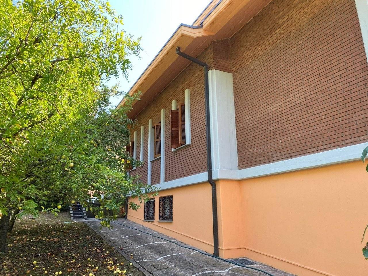 immagine annuncio 8 di 13