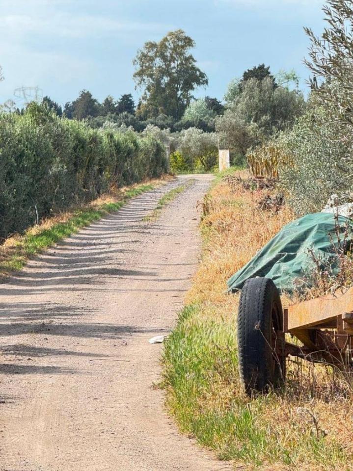 immagine annuncio 1 di 3
