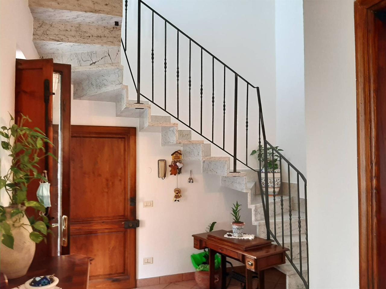 immagine annuncio 7 di 11