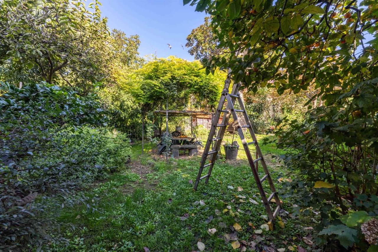 immagine annuncio 5 di 9