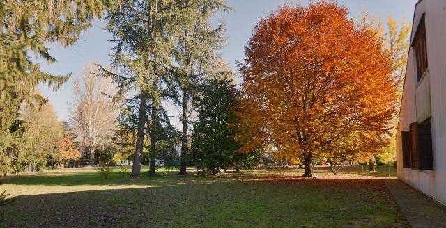 Mansion in {3}, Viale Vittorio Veneto - Photo 1