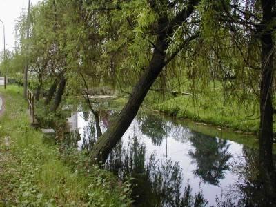 Villa in Via Massimo d'Azeglio, Treviso - Foto 1