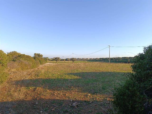 Terreno agricolo, Ostuni - Foto 1