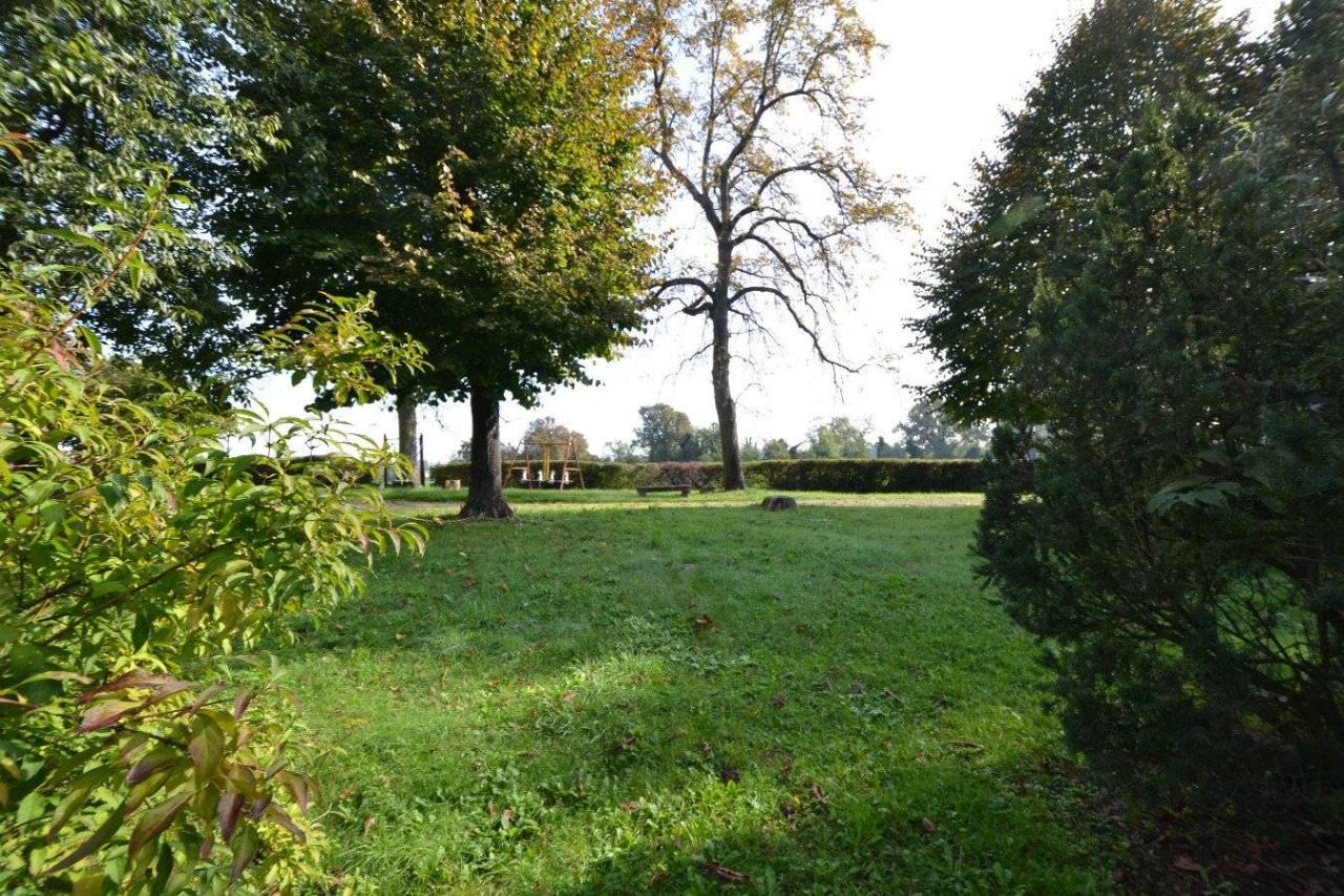 immagine annuncio 11 di 15