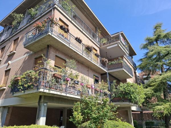 immagine annuncio 5 di 13