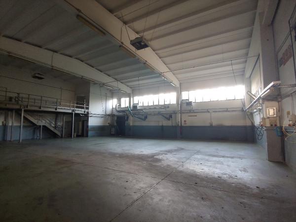 Capannone in , Albinea, {3} - Foto 1