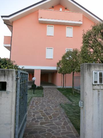 insertion image
