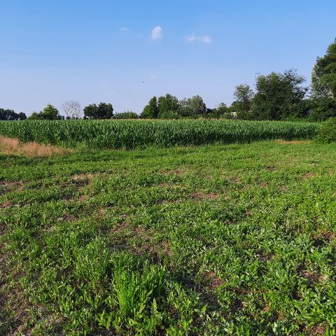 Terreno agricolo in Via Adige, Padova - Foto 1