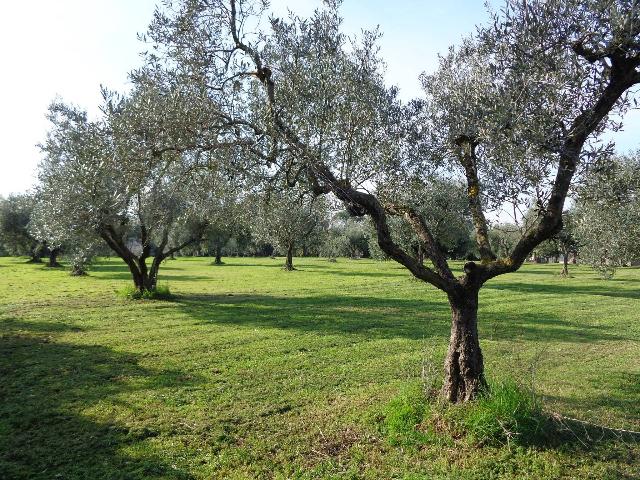 Geschäft in {3}, Via del Villaggio Ardeatino - Foto 1