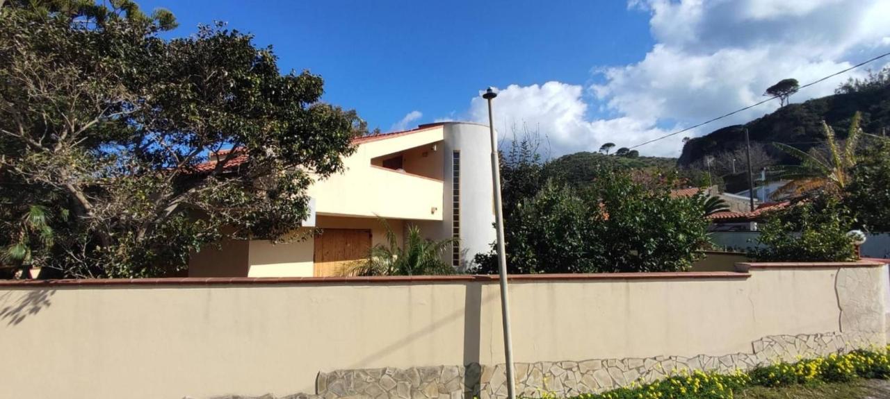 immagine annuncio 12 di 14
