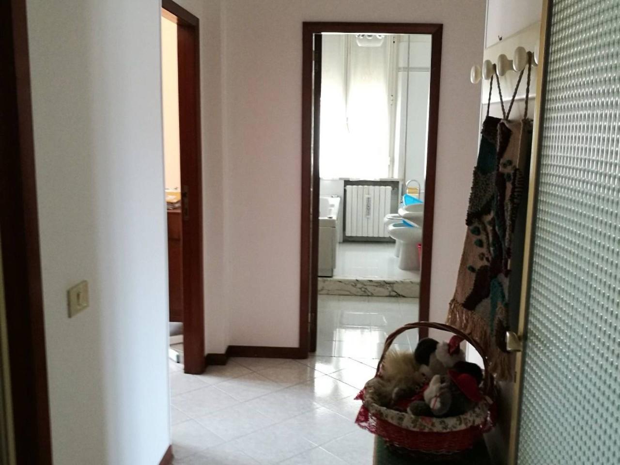 immagine annuncio 5 di 9