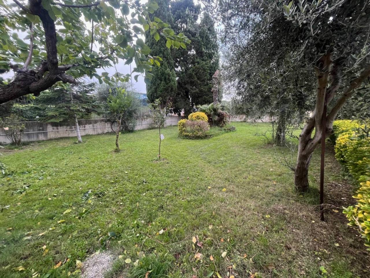 immagine annuncio 3 di 11