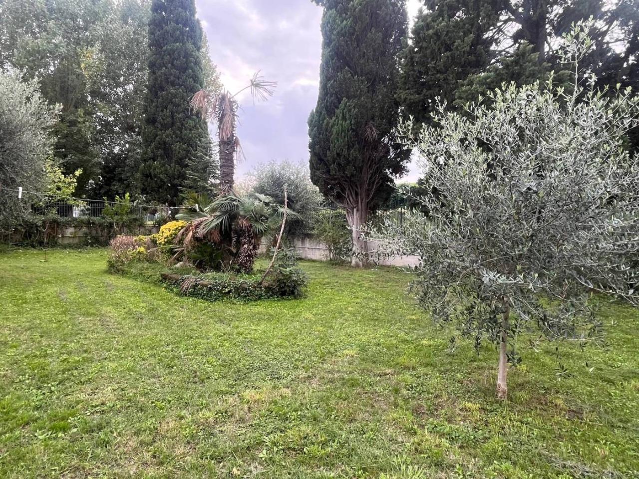immagine annuncio 4 di 11