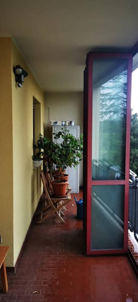 immagine annuncio 4 di 7