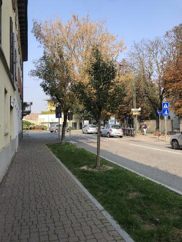 insertion image