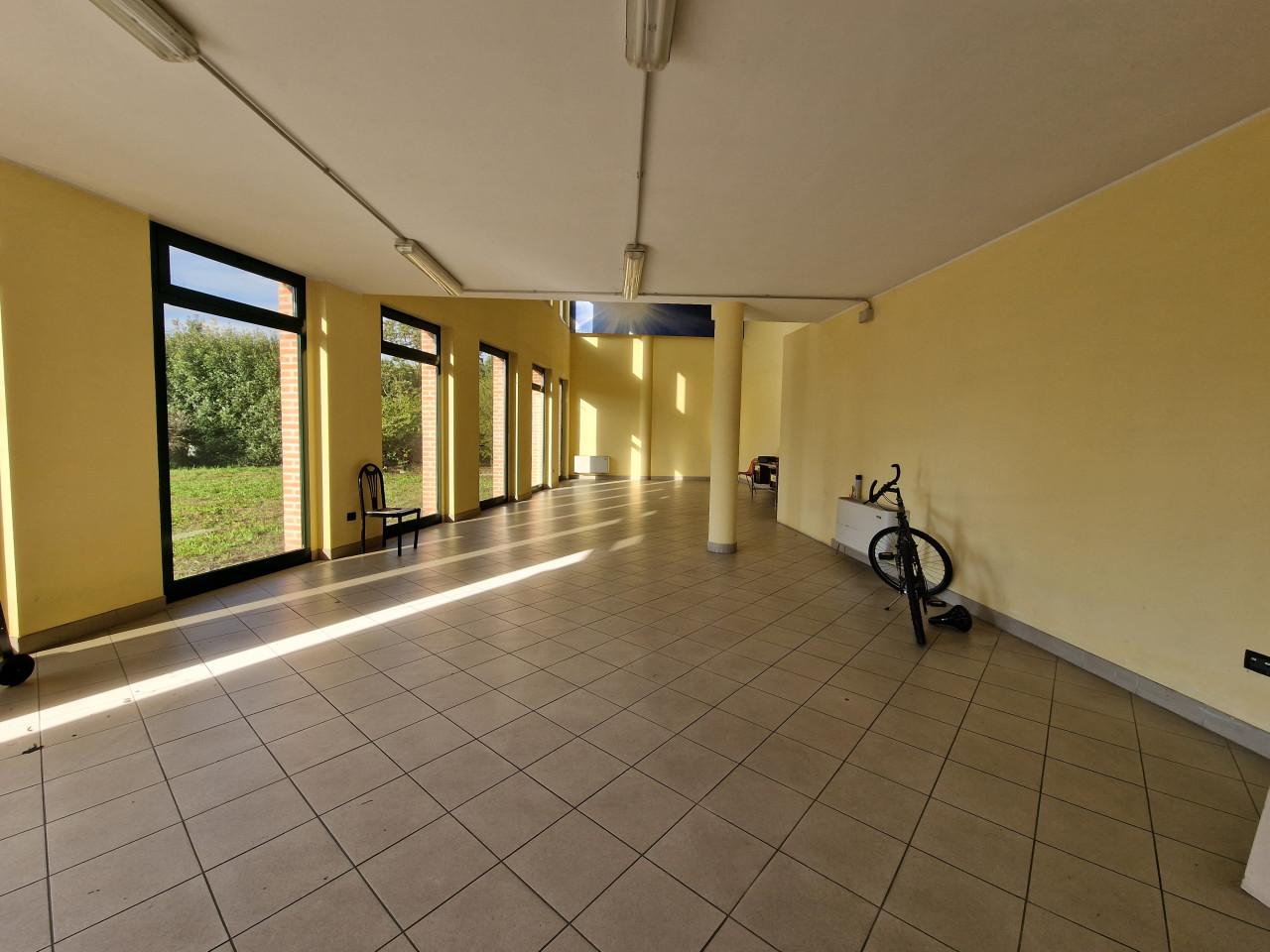 Capannone in Via Antonio Gramsci, Ospedaletto Euganeo, {3} - Foto 2