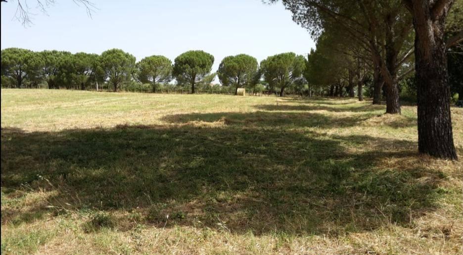immagine annuncio 8 di 13