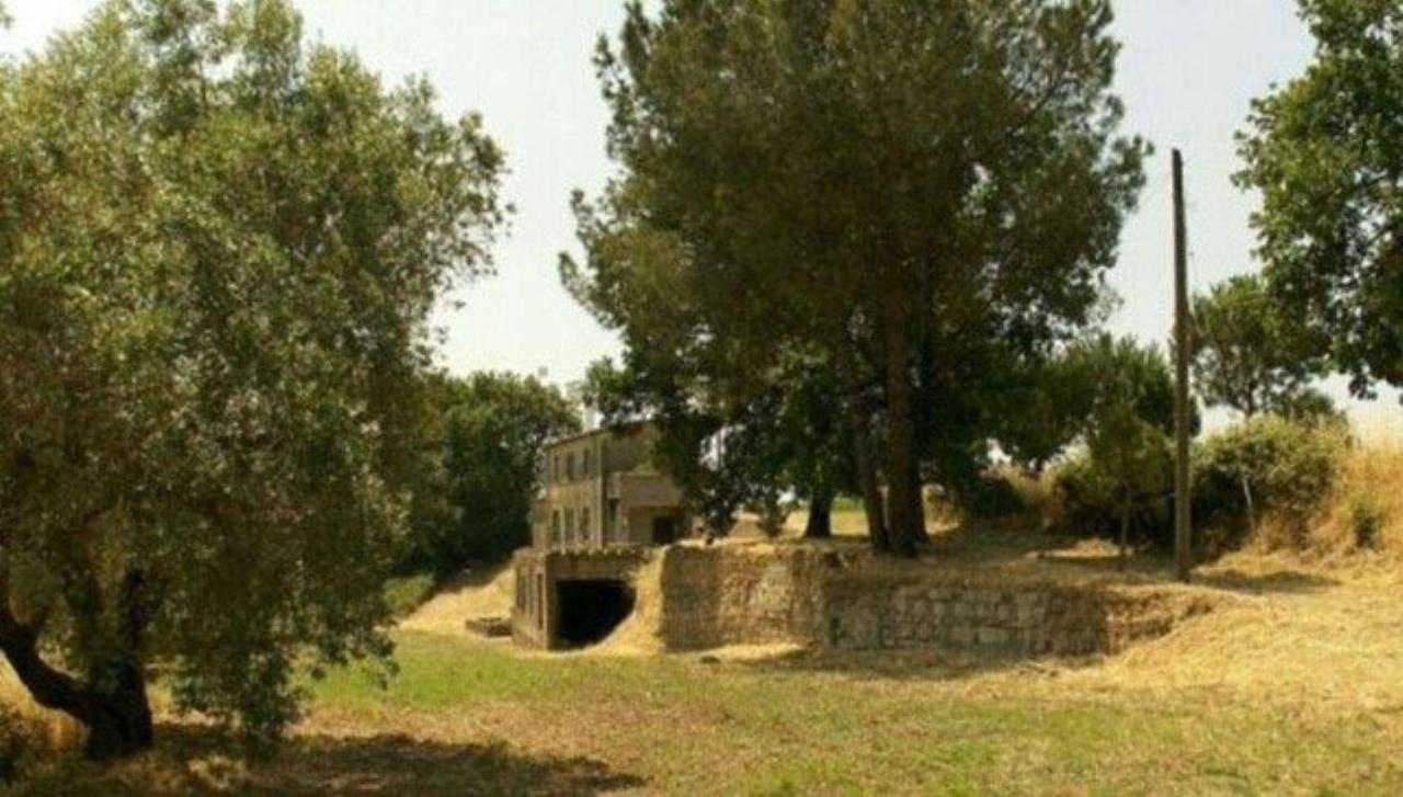 immagine annuncio 2 di 13