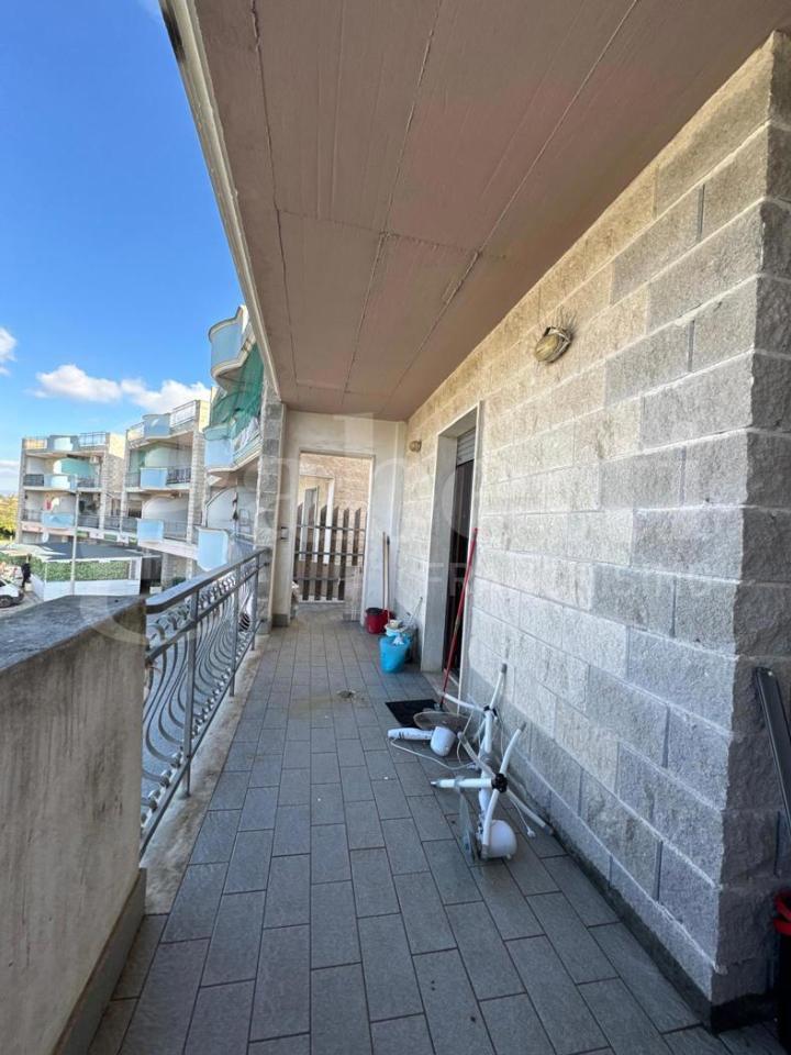 immagine annuncio 3 di 7