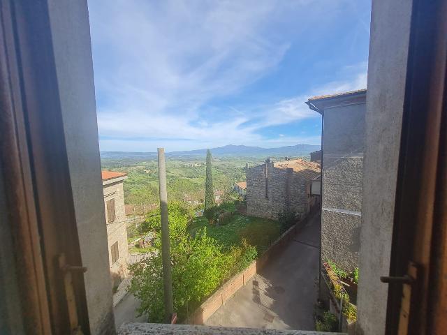 4-room flat in Via Vigna Nuova 30, Civitella Paganico - Photo 1