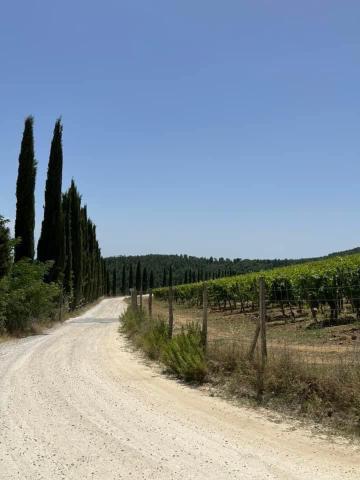 Dreizimmerwohnung in Strada di Carpineto 11, Castelnuovo Berardenga - Foto 1