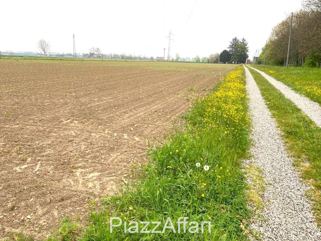 Terreno edificabile residenziale in vendita a Brugine