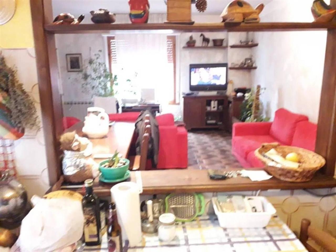 immagine annuncio 5 di 14