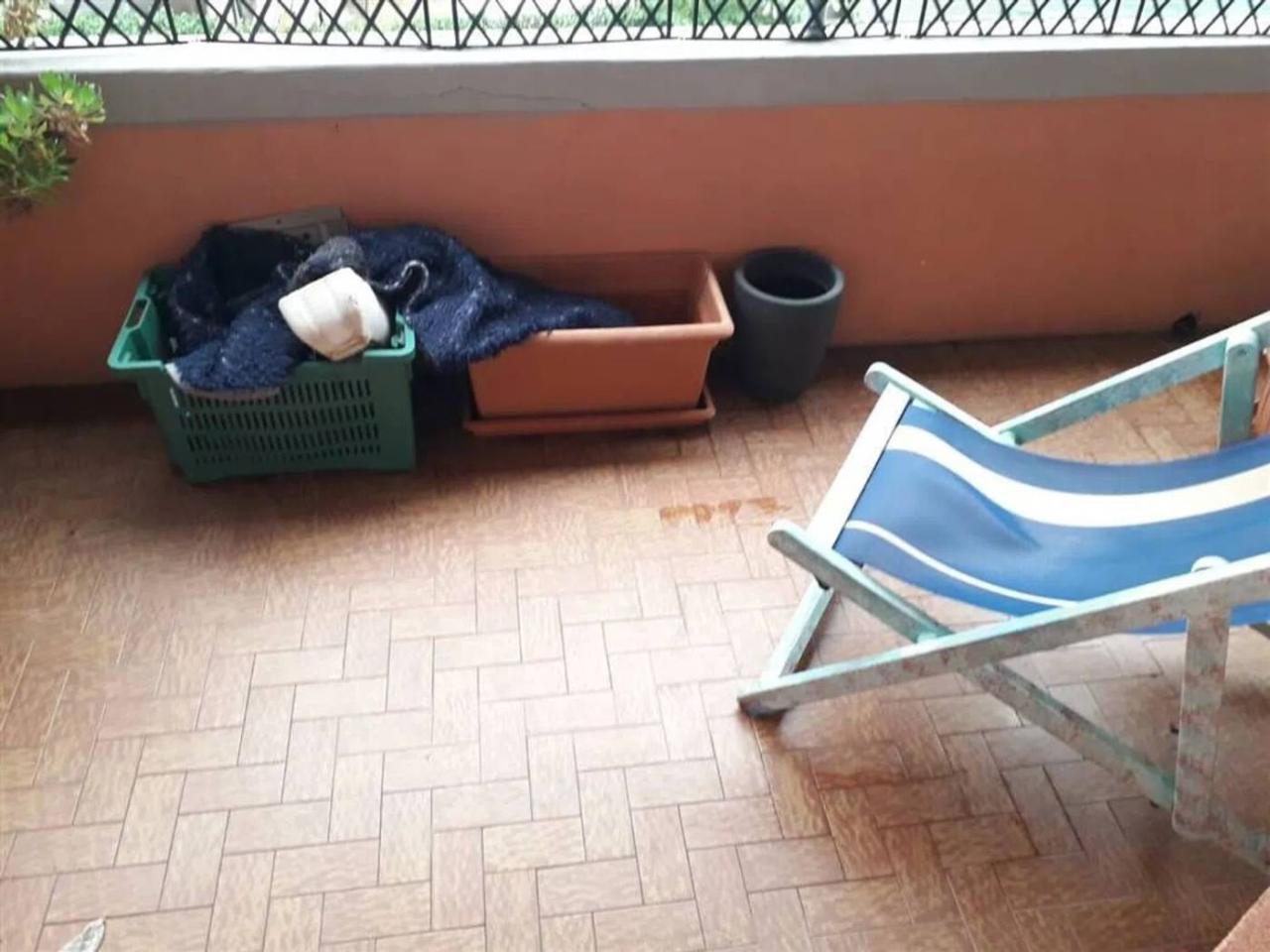 immagine annuncio 6 di 14