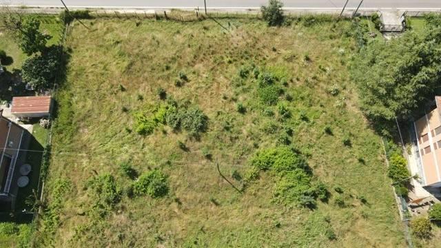 immagine annuncio 2 di 6