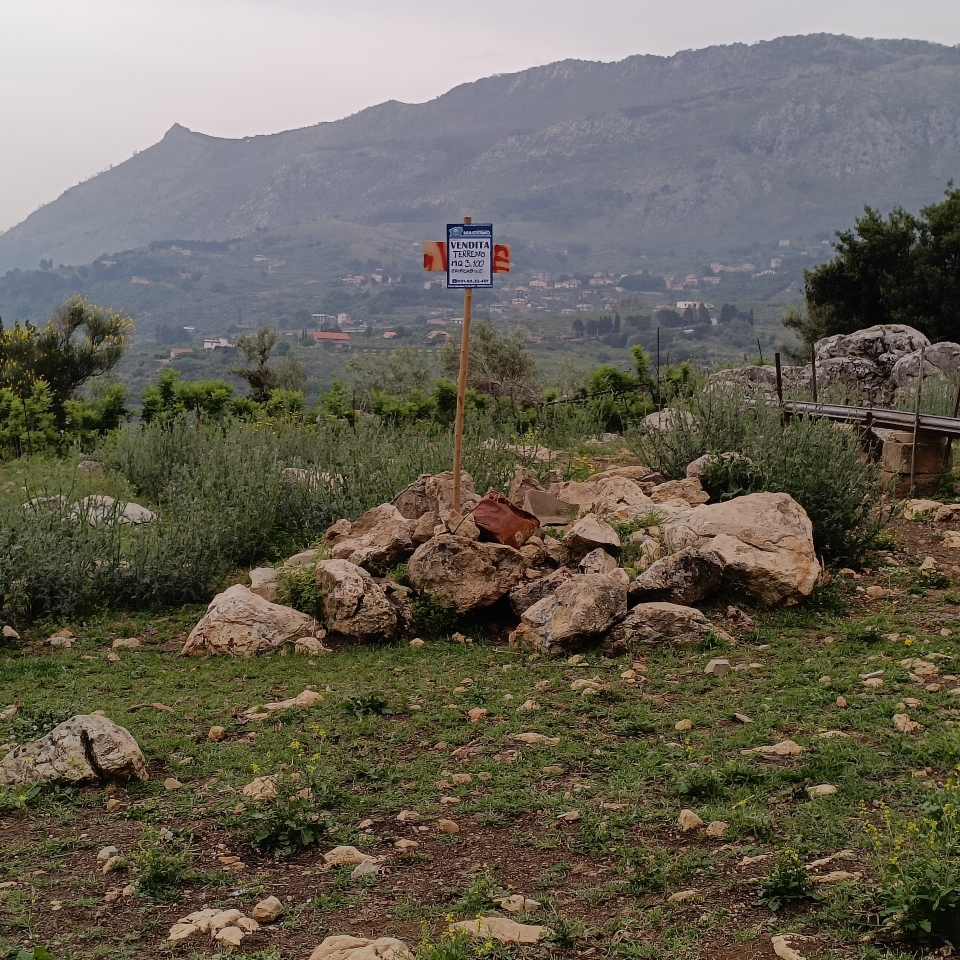 immagine annuncio 10 di 14