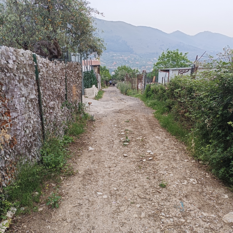 immagine annuncio 6 di 14