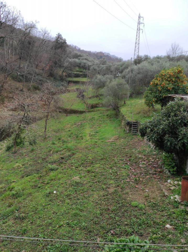Terreno agricolo in vendita a Rapallo