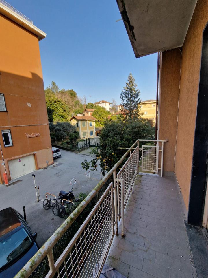 immagine annuncio 3 di 7