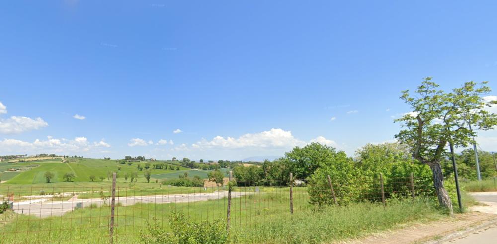 immagine annuncio 3 di 8