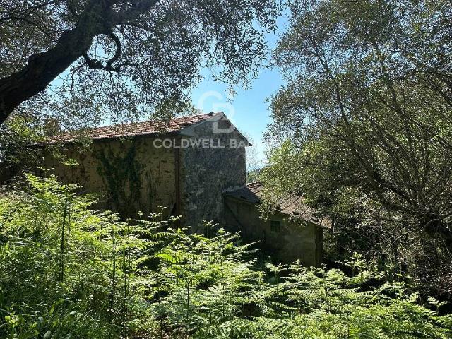 Landhaus in Via Strinato, Pietrasanta - Foto 1